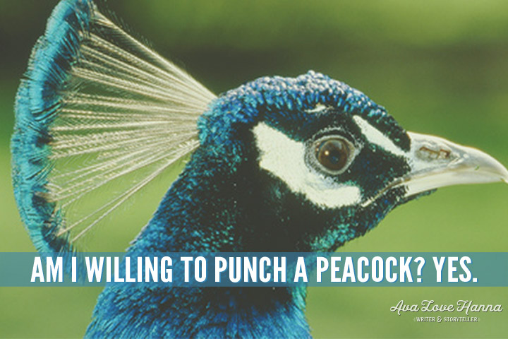 Am I Willing to Punch a Peacock? - Ava Love Hanna